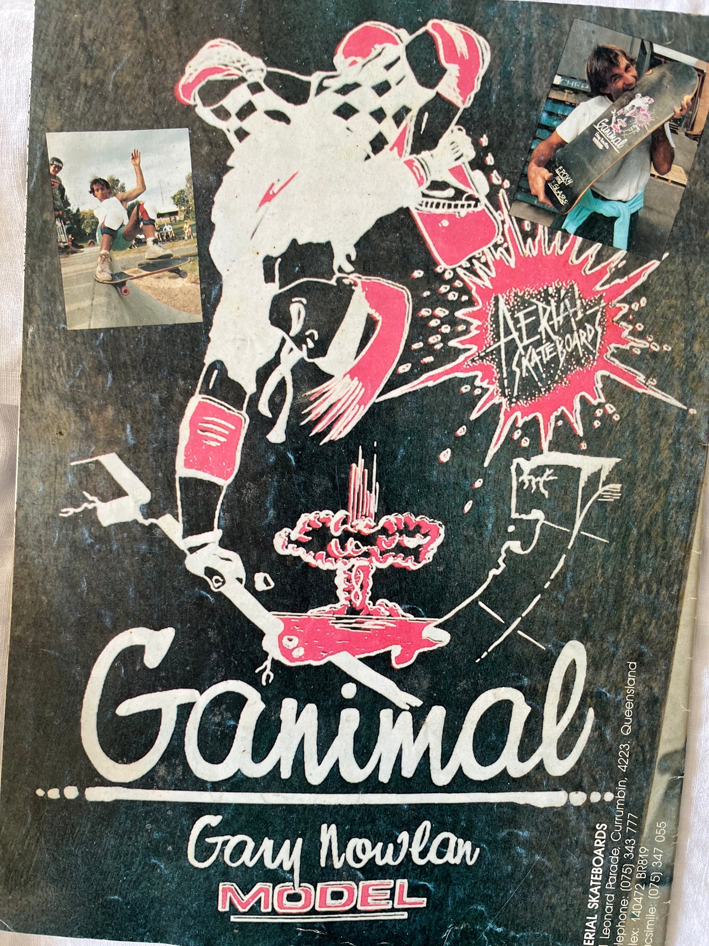 COCKROACH X AERIAL GANIMAL MODEL White Dip